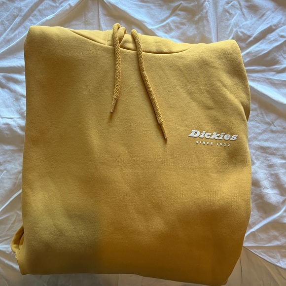 Dickies Camden Box hoodie - Picture 3 of 5